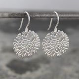 Frost Silver Drop Earrings