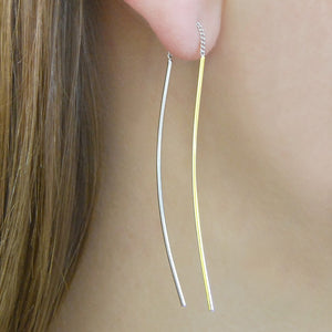 Silver and Gold Drop Earrings