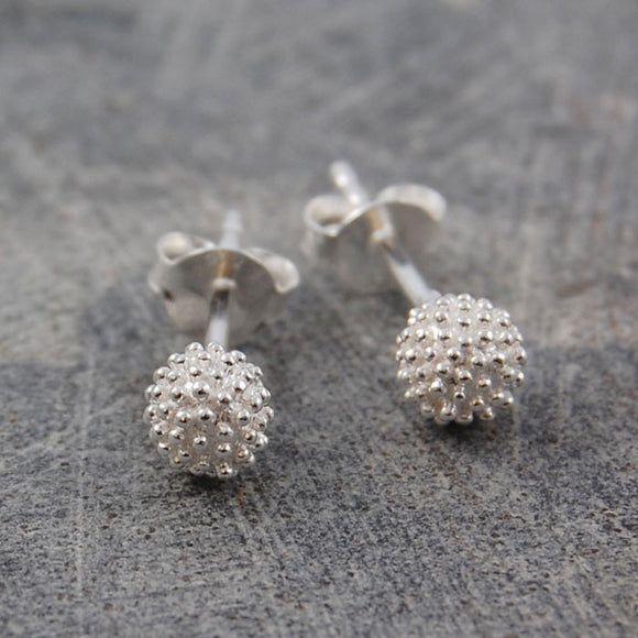 Sycamore Silver Stud Earrings